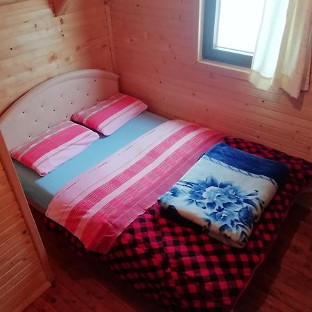 Chalet Kovacevic Zabljak  Luaran gambar