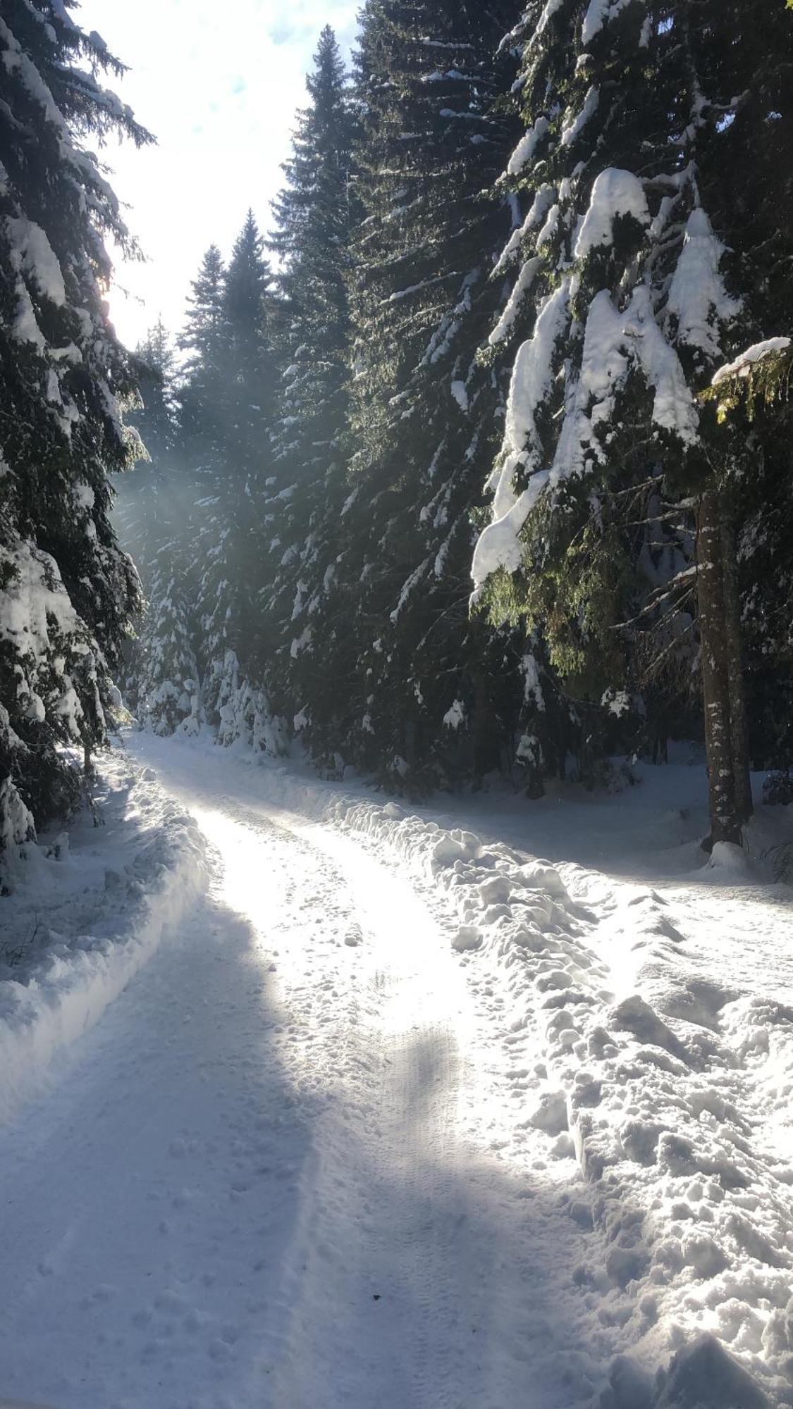 Chalet Kovacevic Zabljak  Luaran gambar