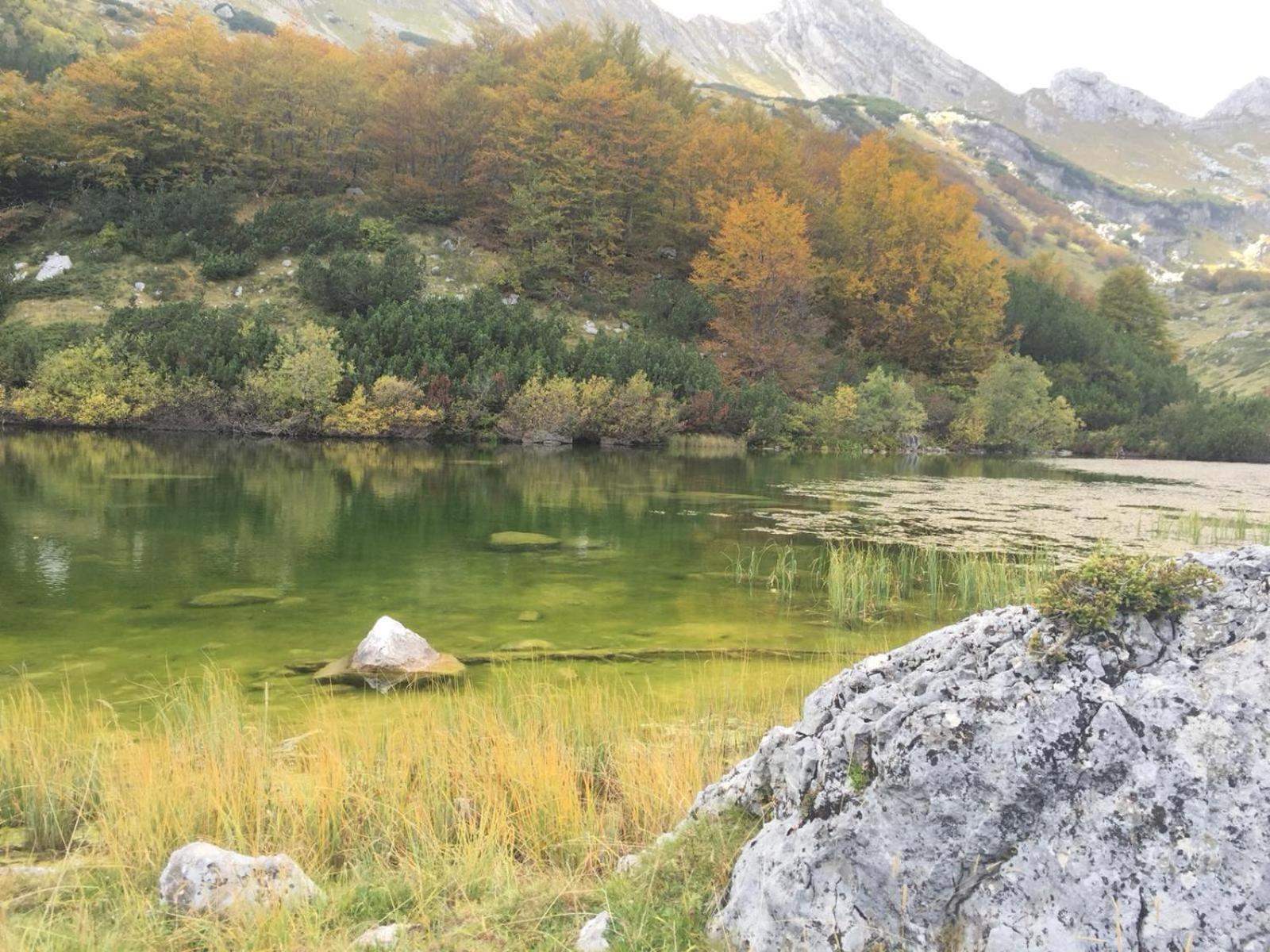 Chalet Kovacevic Zabljak  Luaran gambar