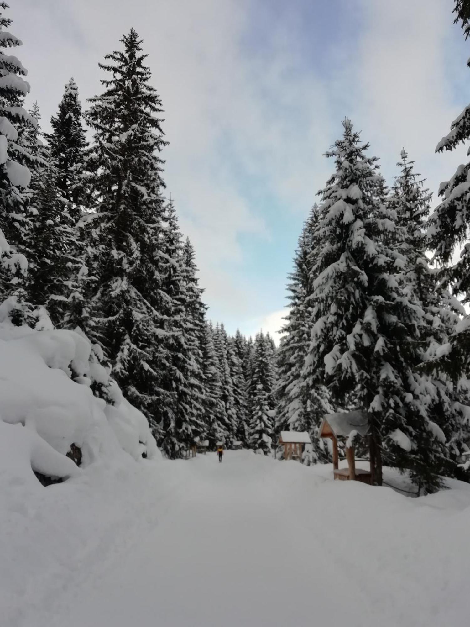 Chalet Kovacevic Zabljak  Luaran gambar